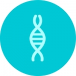 icona DNA 2